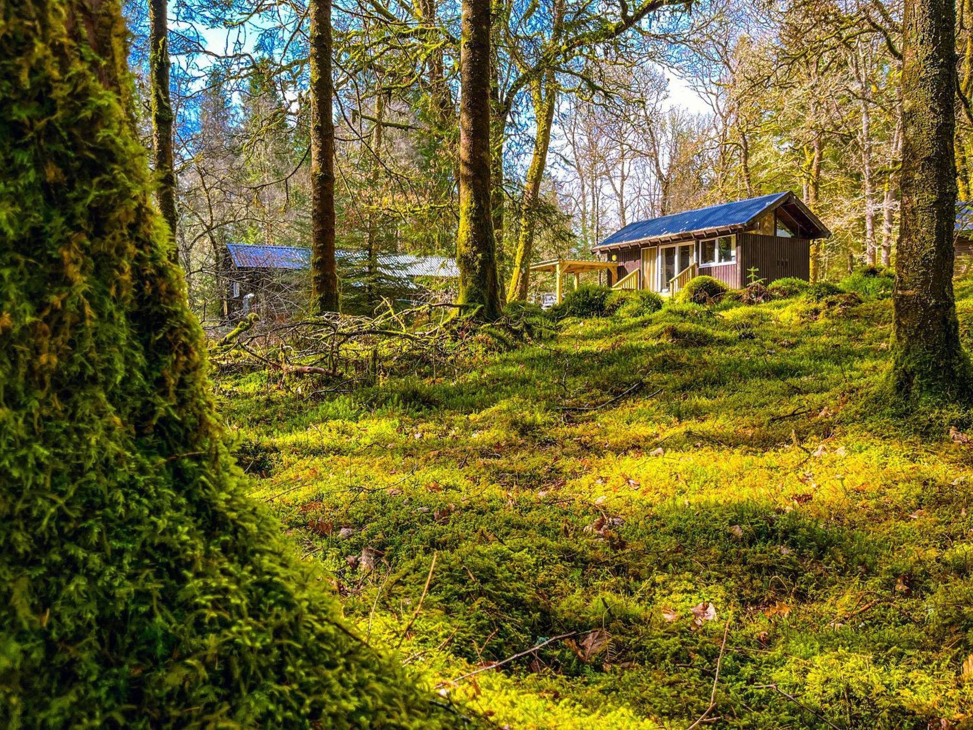 Loch Aweside Forest Cabins Dalavich 部屋 写真